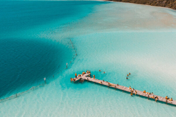 Aquatic Paradise in Tulum: Snorkel Yalku, Swim Cenote & Kaan Luum