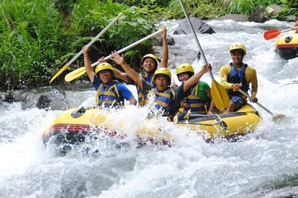 Bali White-Water Rafting: Telaga Waja River (Intermediate)