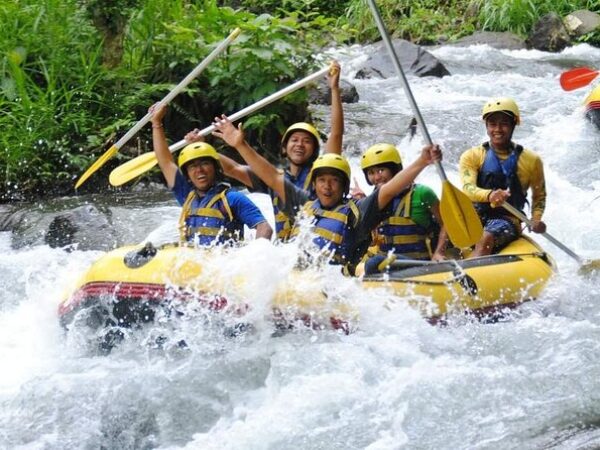 Bali White-Water Rafting: Telaga Waja River (Intermediate)