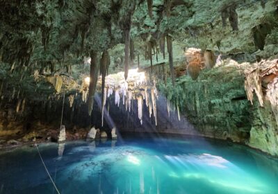 Swimming in Cenotes: A First-Timer’s Guide