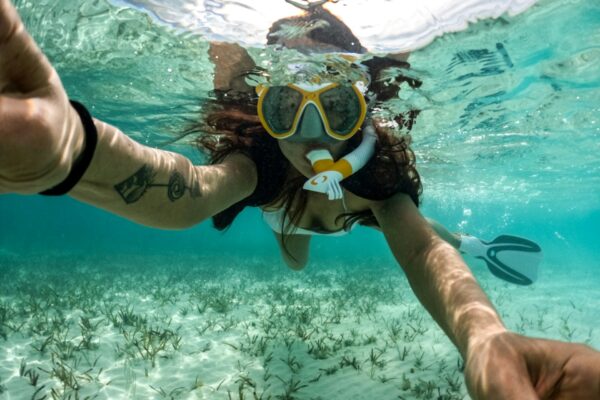 Cozumel Snorkeling Tour: Swim with Turtles at El Cielo