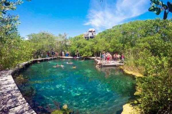 Discover Holbox: 3-Island Boat Tour with Nature & Local Flavors
