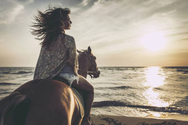 Holbox Horseback Ride: Explore Mangroves & Coastal Views
