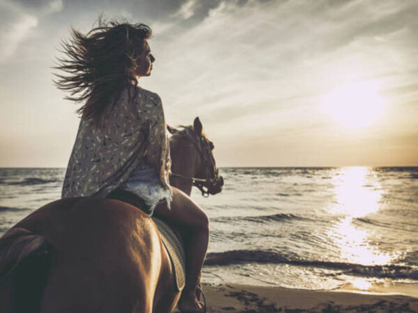 Holbox Horseback Ride: Explore Mangroves & Coastal Views