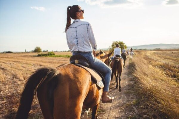 Mexico City Forest Adventure: ATV, Horseback Riding & Zipline + Transport