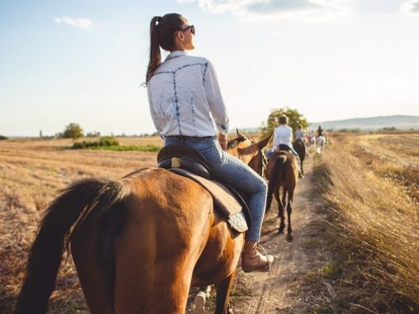 Mexico City Forest Adventure: ATV, Horseback Riding & Zipline + Transport