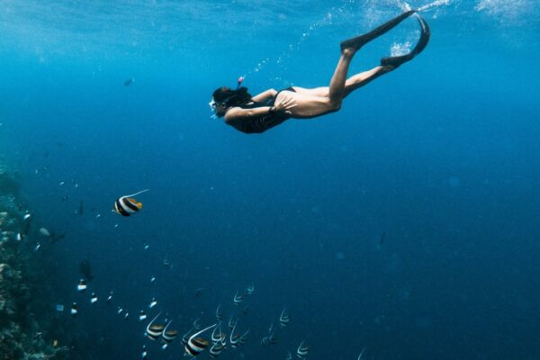 Puerto Morelos Combo: ATV, Ziplines, Cenote & Reef Snorkeling