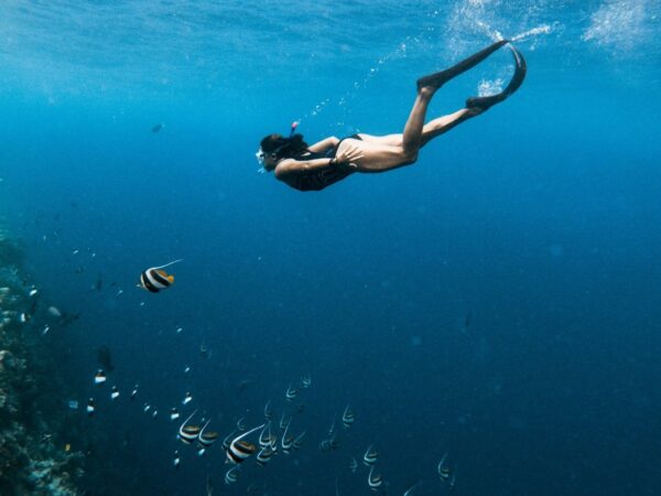 Puerto Morelos Combo: ATV, Ziplines, Cenote & Reef Snorkeling