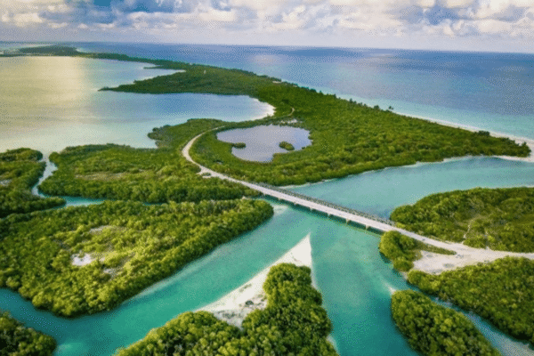Tulum Sian Ka’an Adventure: Dolphins, Turtles & Punta Allen