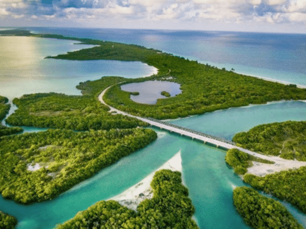 Tulum Sian Ka’an Adventure: Dolphins, Turtles & Punta Allen