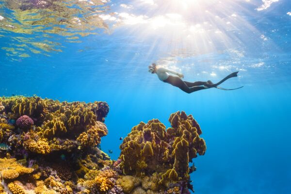 Cancun: Snorkeling Adventure at Puerto Morelos Reef