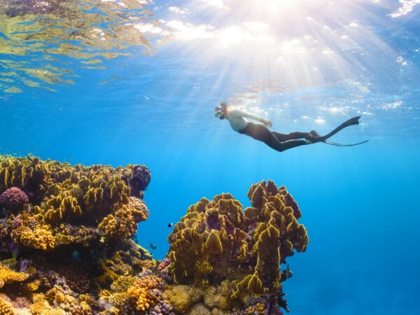 Cancun: Snorkeling Adventure at Puerto Morelos Reef