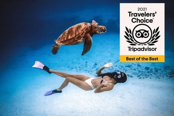 Full-day Turtle Adventure: ATV, Zipline, Cenote & Turtle Swim