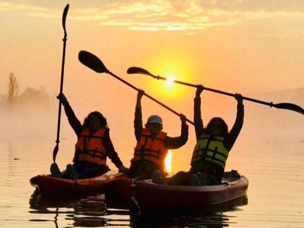 Xochimilco Eco Kayak Tour + Breakfast on a Chinampa + Pickup Included